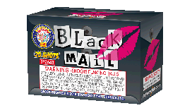 BROTHERS BLACKMAIL- CASE 18/1